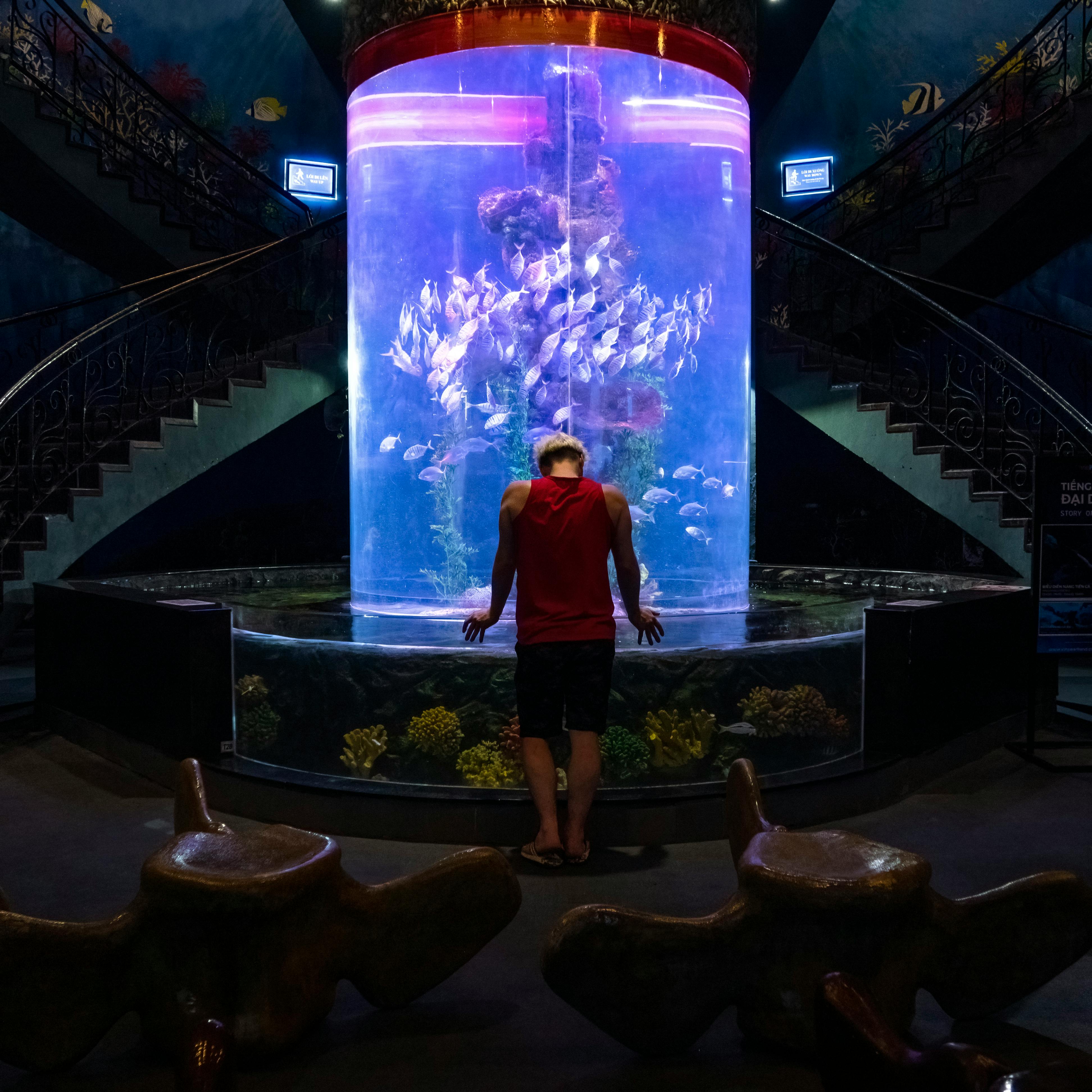 Reef Supplies