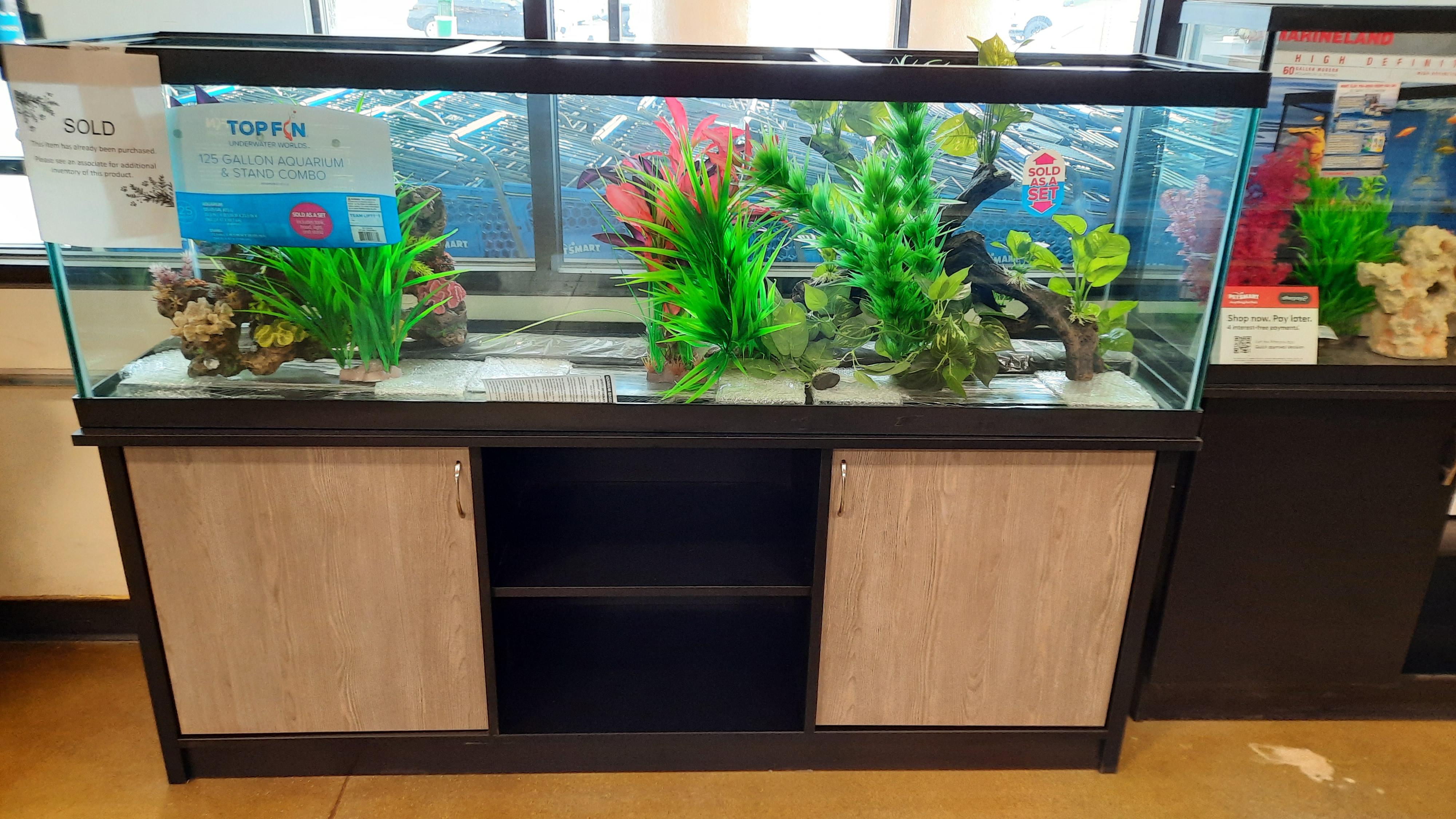 Well Decorated 125 Gallon Fish Tank