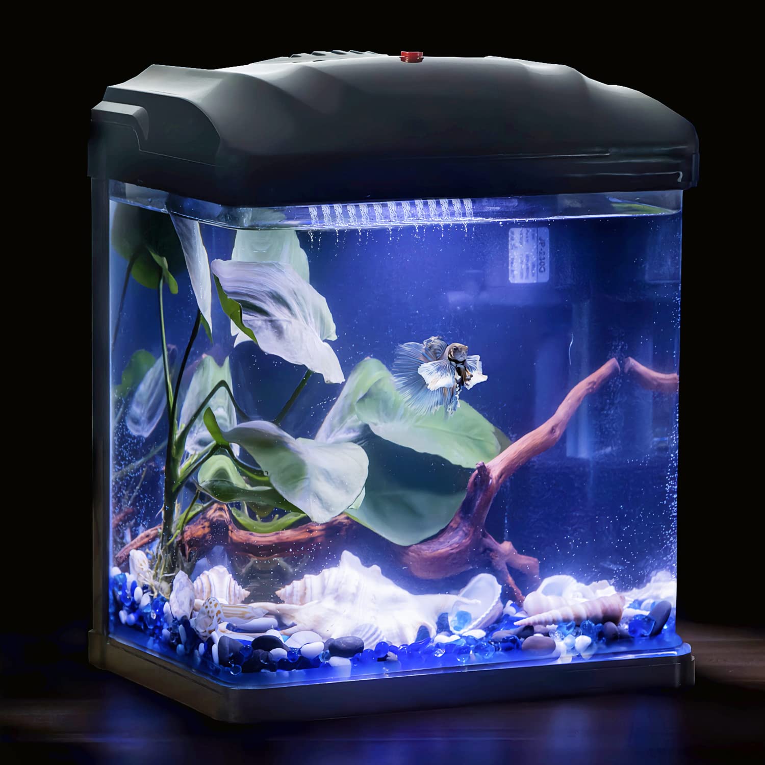 Optimized Betta Fish Tank